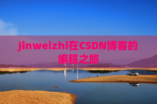 Jinweizhi在CSDN博客的编程之旅